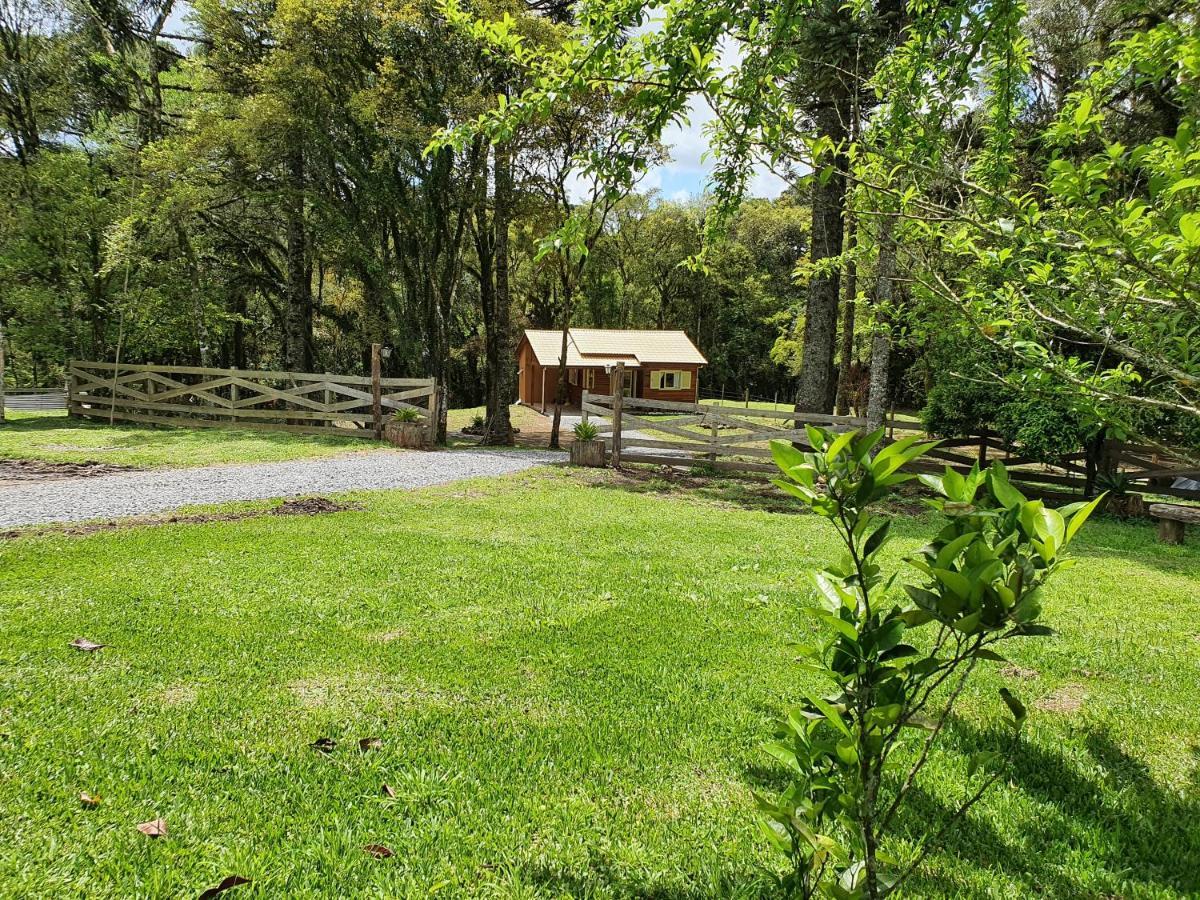 Sitio Recanto Feliz Gramado Buitenkant foto