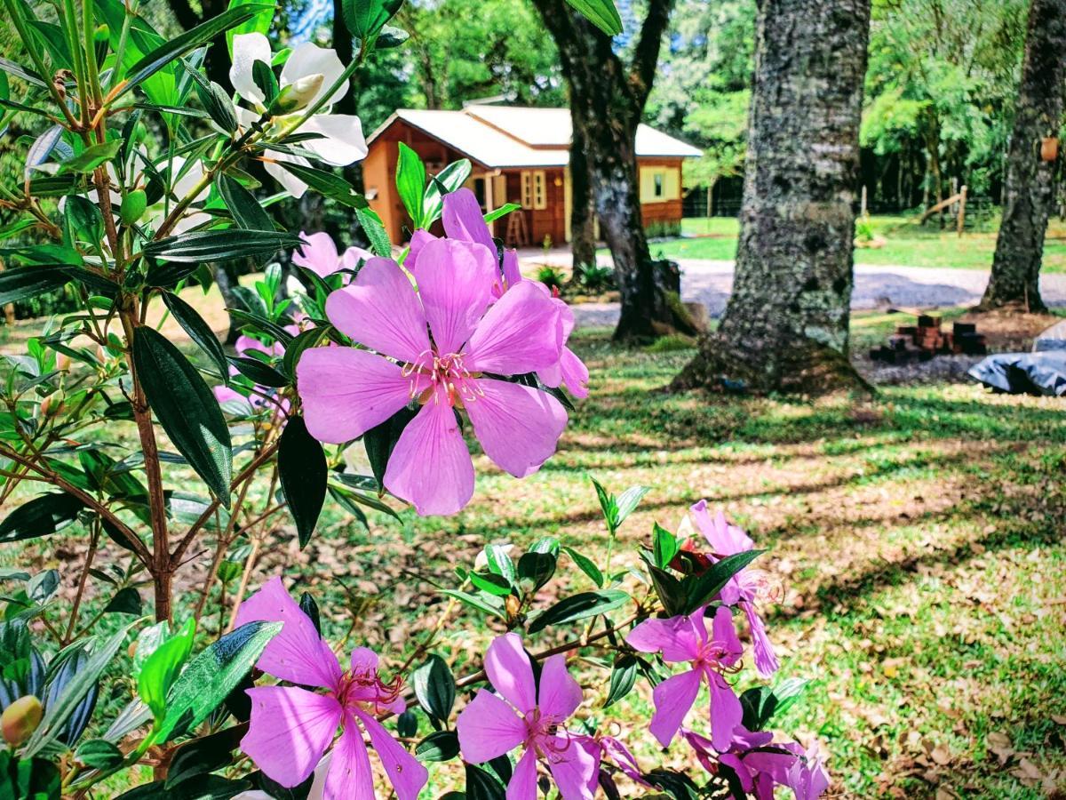 Sitio Recanto Feliz Gramado Buitenkant foto