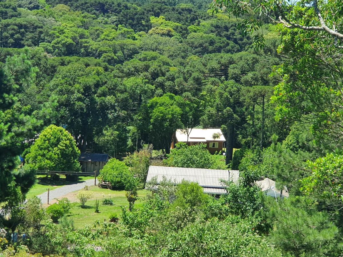 Sitio Recanto Feliz Gramado Buitenkant foto