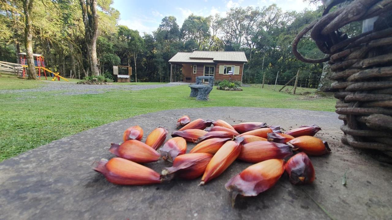 Sitio Recanto Feliz Gramado Buitenkant foto