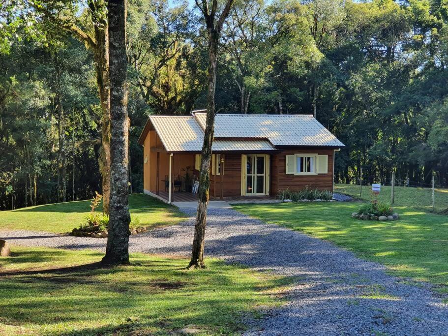 Sitio Recanto Feliz Gramado Buitenkant foto